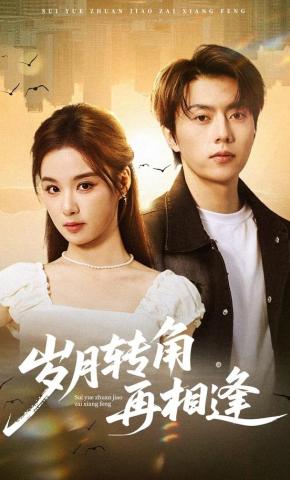 短剧《岁月转角再相逢》海报