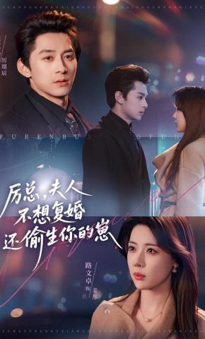 短剧《厉总，夫人不想复婚还偷生你的崽》海报