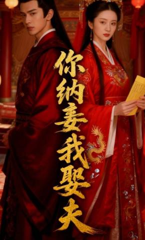 短剧《你纳妾，我娶夫》海报