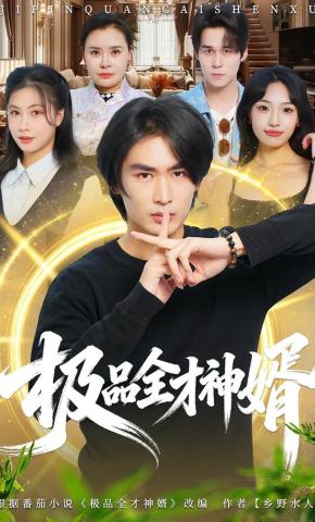 短剧《极品全才神婿》海报