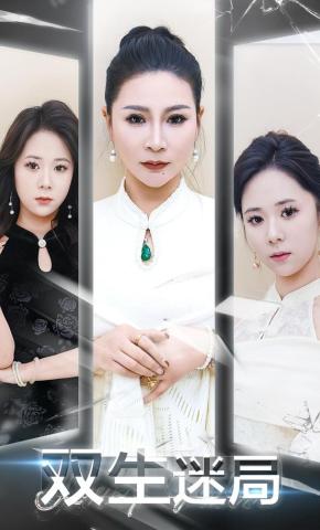 短剧双生迷局海报