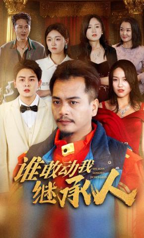 短剧谁敢动我继承人海报