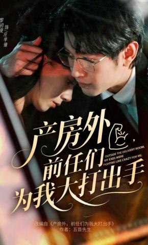 短剧《产房外，前任们为我大打出手》海报