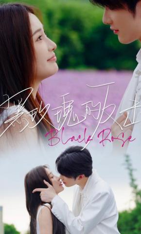 短剧《黑玫瑰的反击》海报