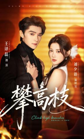 短剧《攀高枝》海报