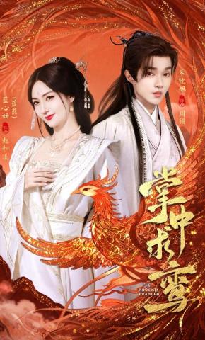 短剧《掌中求鸾》海报