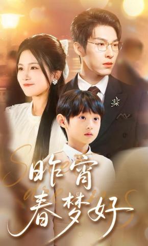 短剧《昨宵春梦好》海报