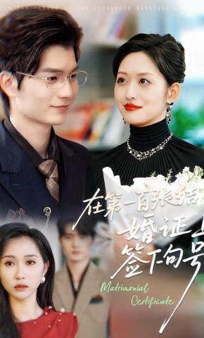 短剧《在第一百张结婚证上签下句号》海报