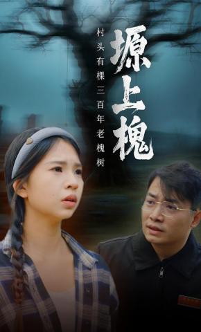 短剧《塬上槐》海报