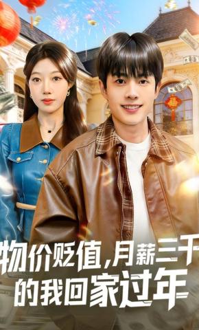 短剧《物价贬值，月薪三千的我回家过年》海报