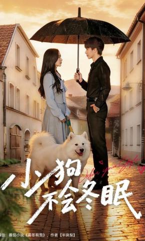短剧《小狗不会冬眠》海报
