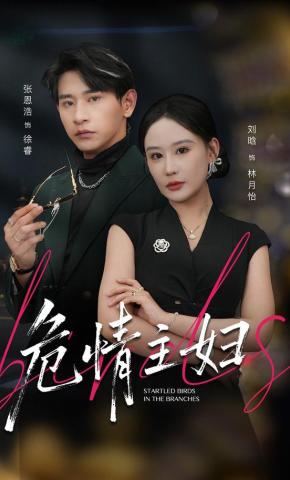 短剧《危情主妇》海报