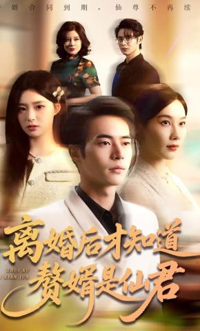 短剧《离婚后才知道赘婿是仙君》海报