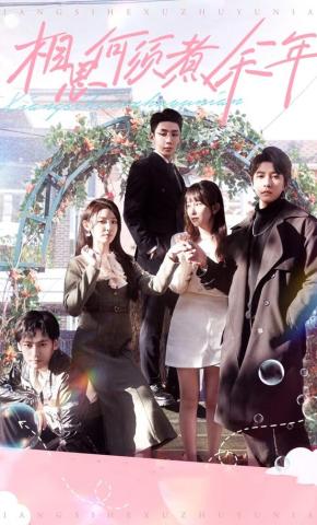 短剧相思何须煮余年海报