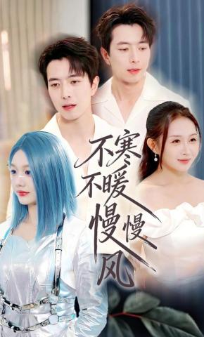 短剧不寒不暖慢慢风海报