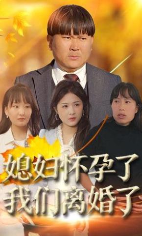 短剧媳妇怀孕了 我们离婚了海报