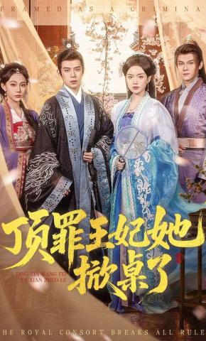 短剧顶罪王妃她掀桌了海报