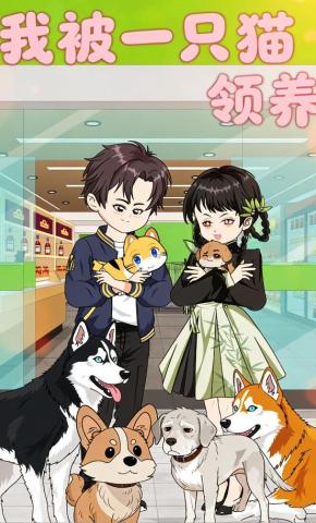 短剧《我被一只猫领养》海报