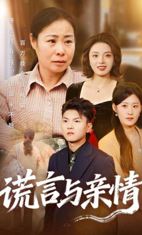 短剧谎言与亲情海报