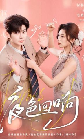 短剧《夜色回响》海报