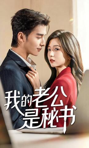 短剧我的老公是秘书海报