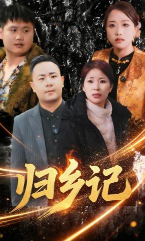 短剧归乡记海报