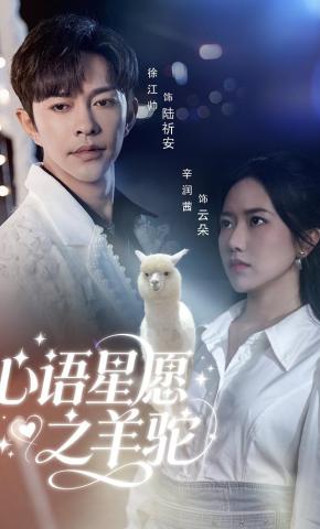 短剧《心语星愿之羊驼》海报