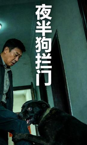 短剧《夜半狗拦门》海报