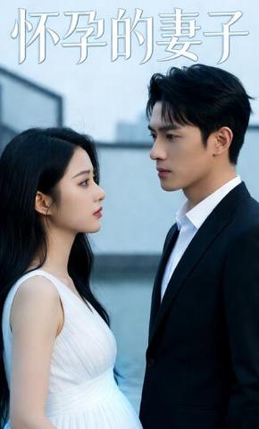 短剧《怀孕的妻子》海报