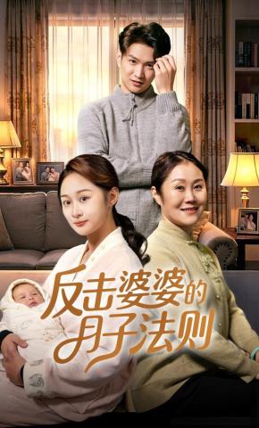 短剧反击婆婆的月子法则海报