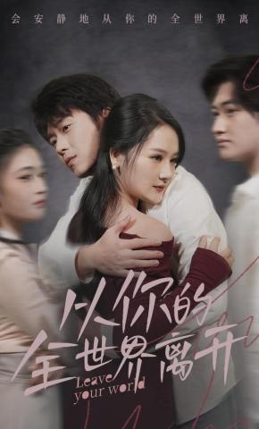短剧从你的全世界离开海报