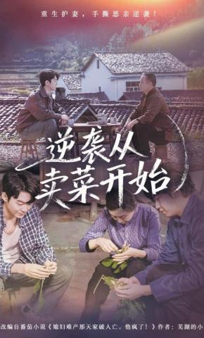 短剧《逆袭从卖菜开始》海报