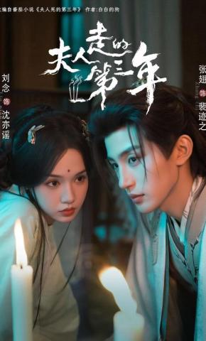 短剧《夫人走的第三年》海报