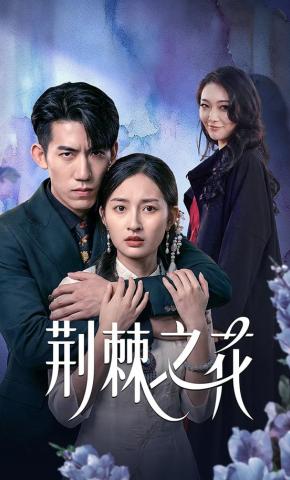 短剧荆棘之花海报