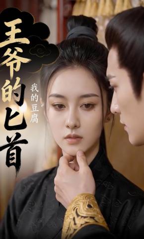 短剧《王爷的匕首，我的豆腐》海报