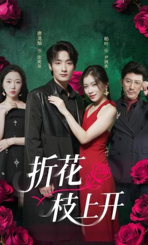 短剧《折花枝上开》海报