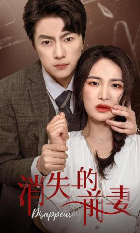 短剧消失的前妻海报