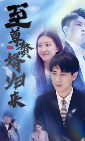 短剧至尊赘婿归来海报