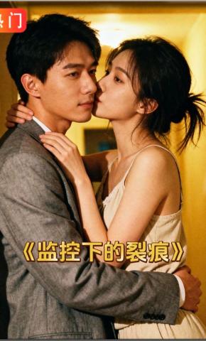 短剧《监控下的裂痕》海报