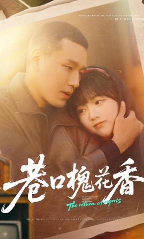 短剧《巷口槐花香》海报