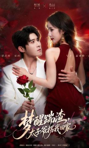 短剧《梦醒踹渣，太子爷拐我回家》海报