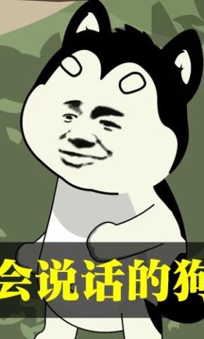 短剧《会说话的狗》海报