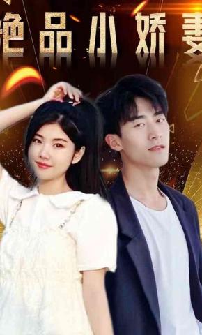 短剧绝品小娇妻海报
