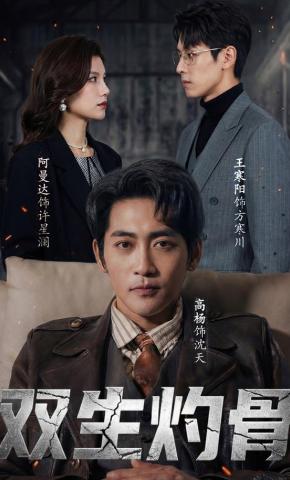 短剧《双生灼骨》海报