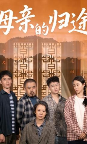 短剧母亲的归途海报
