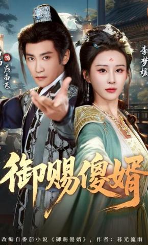 短剧《御赐傻婿》海报