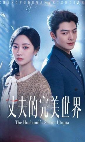 短剧《丈夫的完美世界》海报