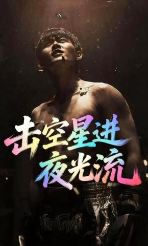 短剧击空星进夜光流海报
