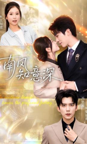 短剧《南风知意深》海报