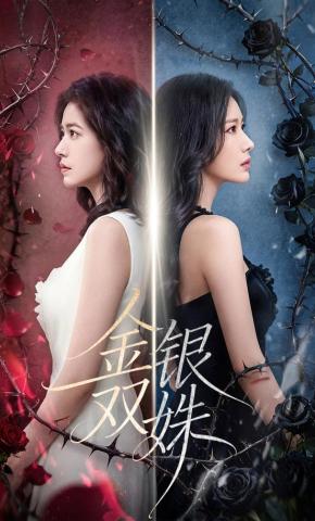 短剧《金银双姝》海报